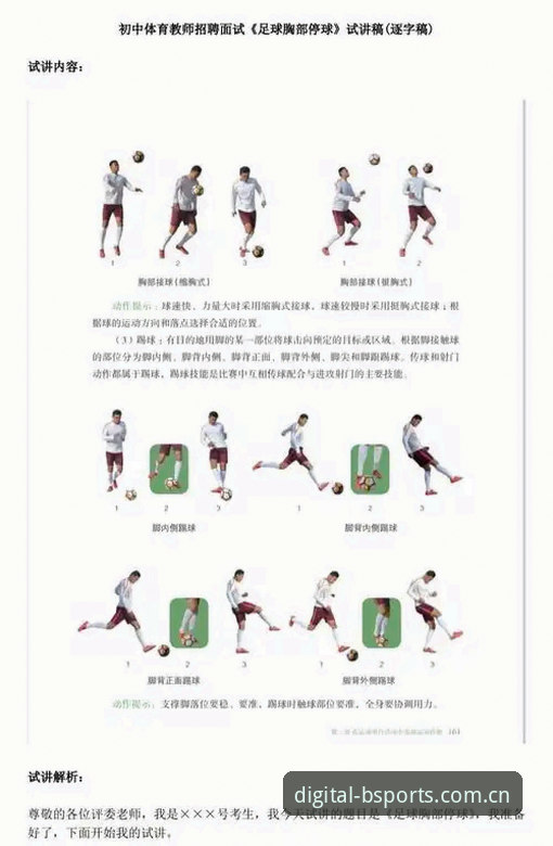 b体育数据服务 B体育最新版数据服务详解,新手入门与实用技巧介绍